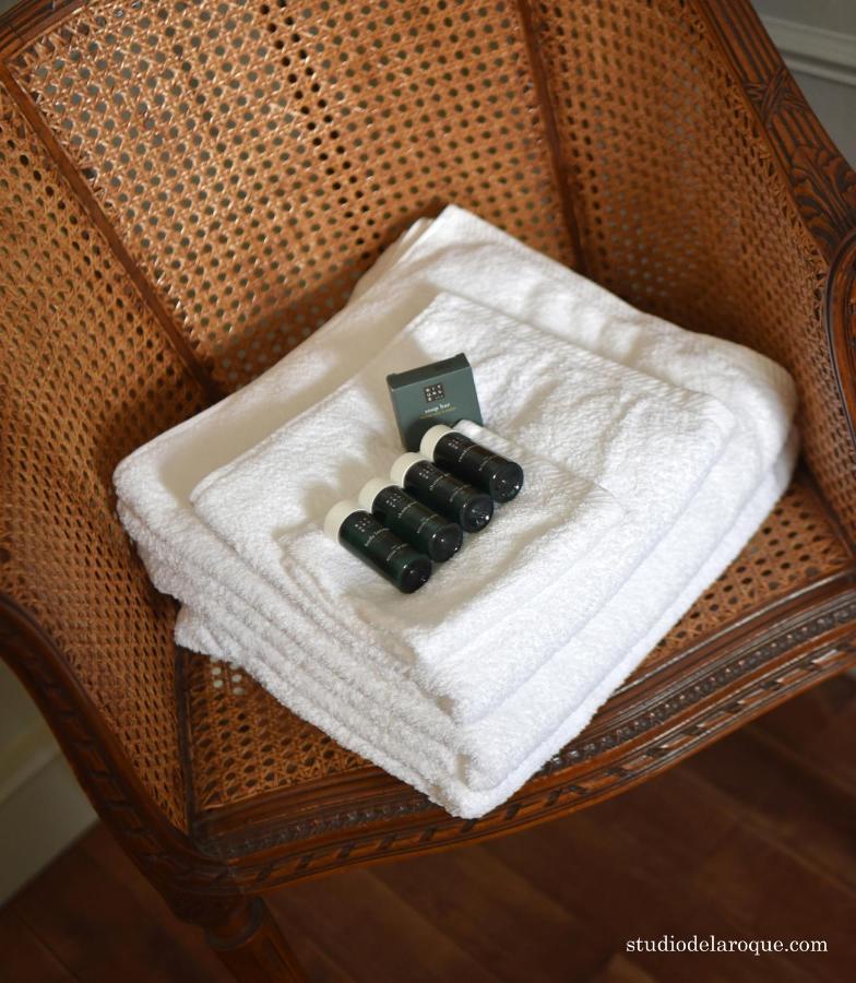 Domaine De La Briouse Bed & Breakfast Sanxay Ngoại thất bức ảnh