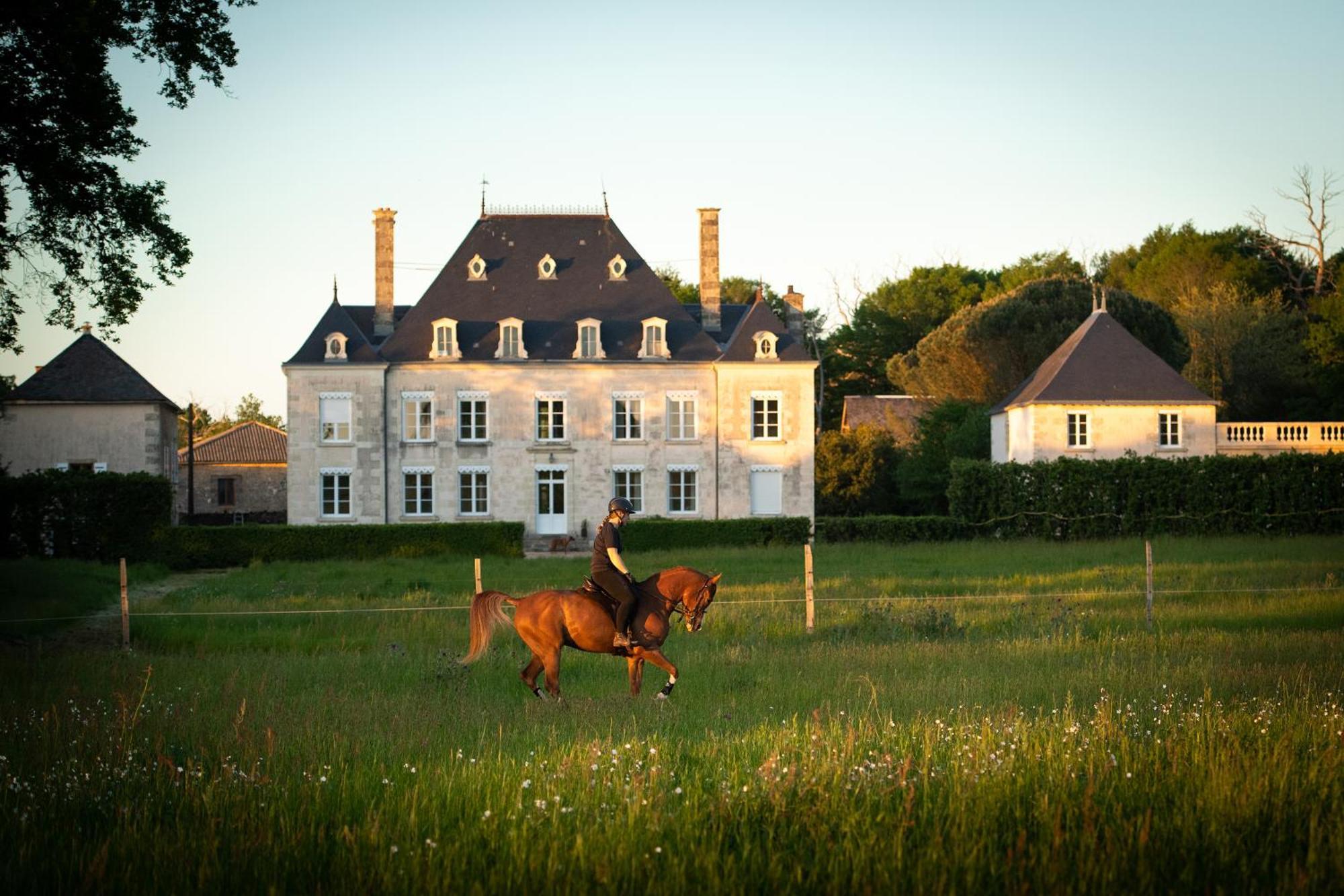 Domaine De La Briouse Bed & Breakfast Sanxay Ngoại thất bức ảnh