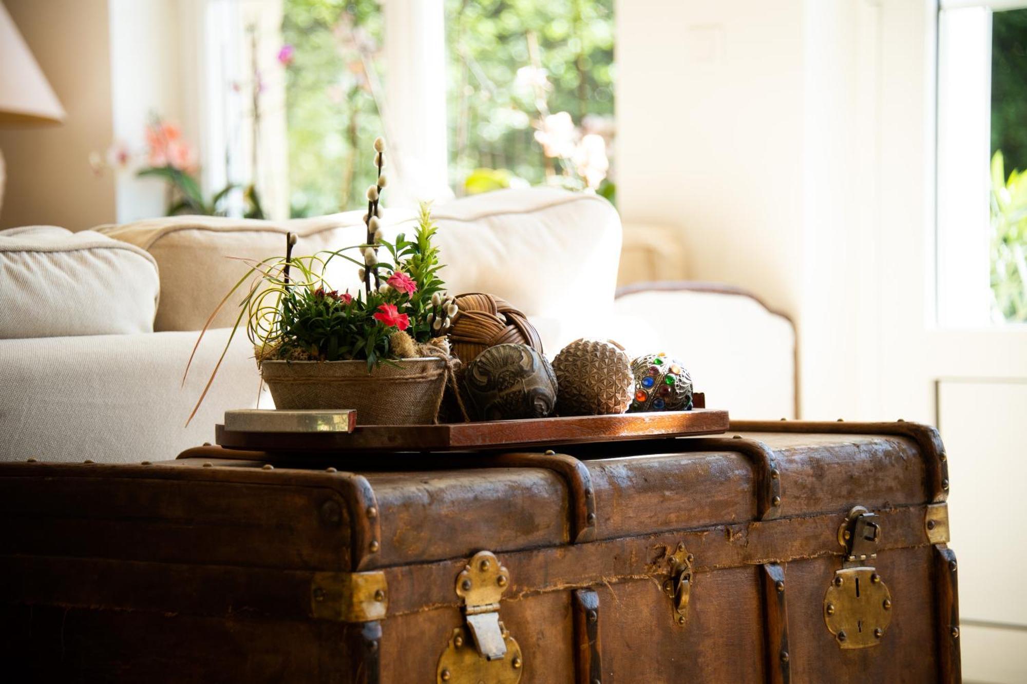 Domaine De La Briouse Bed & Breakfast Sanxay Ngoại thất bức ảnh